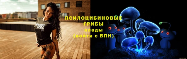 СК Осташков