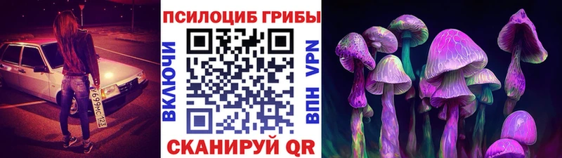 закладка  MEGA как войти  Псилоцибиновые грибы Psilocybe  Апатиты 